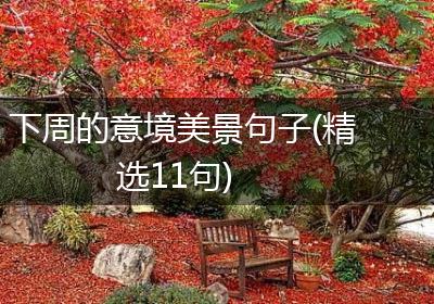 下周的意境美景句子(精选11句)