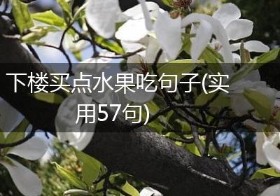 下楼买点水果吃句子(实用57句)
