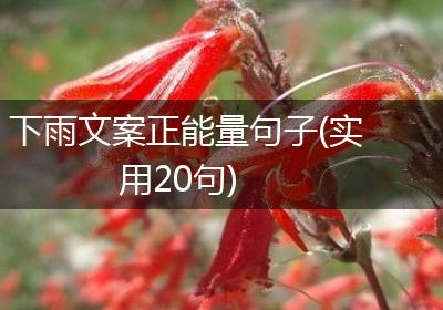 下雨文案正能量句子(实用20句)