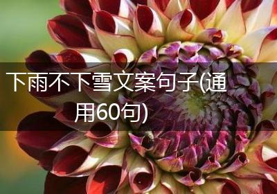 下雨不下雪文案句子(通用60句)