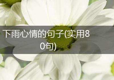 下雨心情的句子(实用80句)
