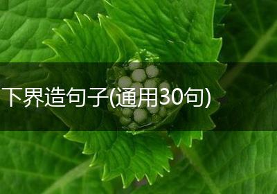 下界造句子(通用30句)