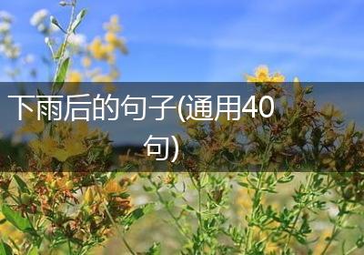 下雨后的句子(通用40句)