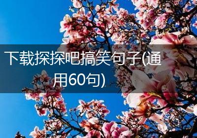 下载探探吧搞笑句子(通用60句)