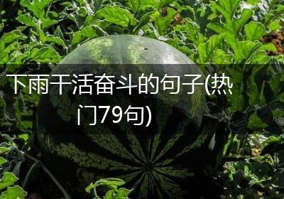 下雨干活奋斗的句子(热门79句)
