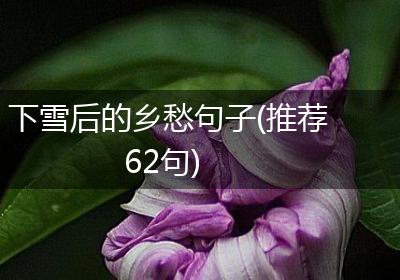 下雪后的乡愁句子(推荐62句)