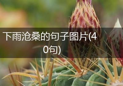 下雨沧桑的句子图片(40句)