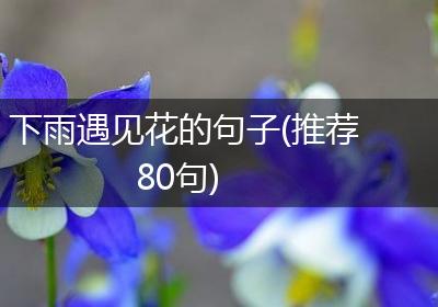 下雨遇见花的句子(推荐80句)
