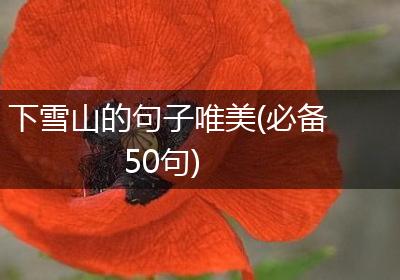 下雪山的句子唯美(必备50句)