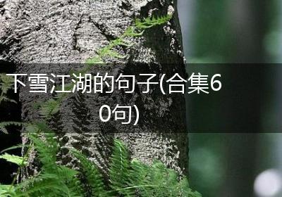 下雪江湖的句子(合集60句)