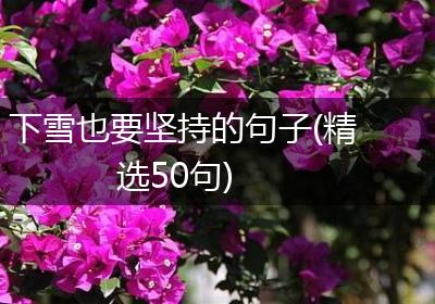 下雪也要坚持的句子(精选50句)