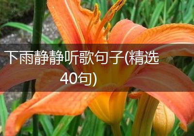 下雨静静听歌句子(精选40句)