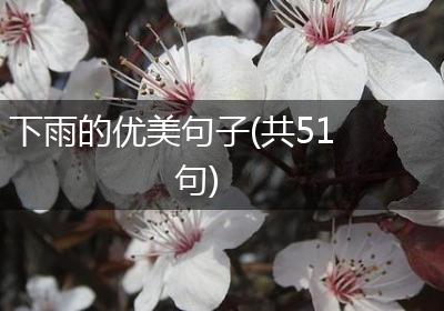 下雨的优美句子(共51句)