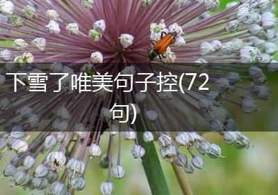 下雪了唯美句子控(72句)