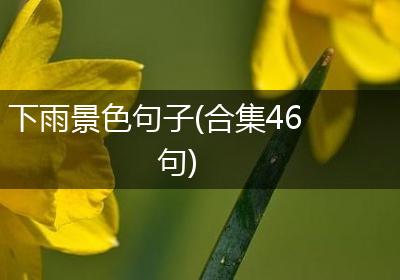 下雨景色句子(合集46句)