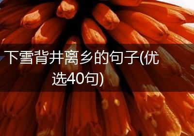 下雪背井离乡的句子(优选40句)