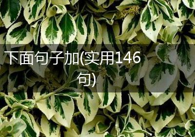 下面句子加(实用146句)