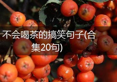 不会喝茶的搞笑句子(合集20句)
