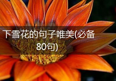 下雪花的句子唯美(必备80句)
