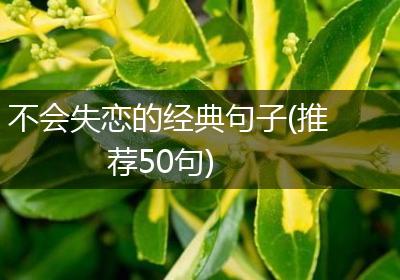不会失恋的经典句子(推荐50句)