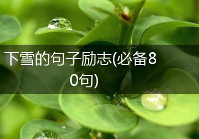 下雪的句子励志(必备80句)