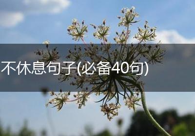 不休息句子(必备40句)
