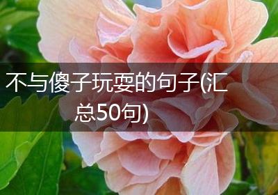 不与傻子玩耍的句子(汇总50句)