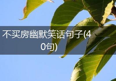 不买房幽默笑话句子(40句)
