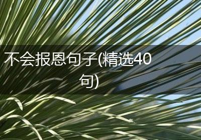 不会报恩句子(精选40句)