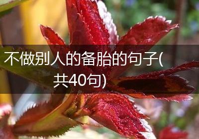 不做别人的备胎的句子(共40句)