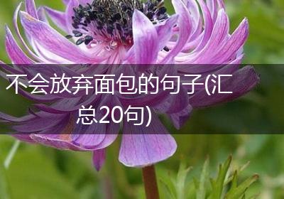 不会放弃面包的句子(汇总20句)