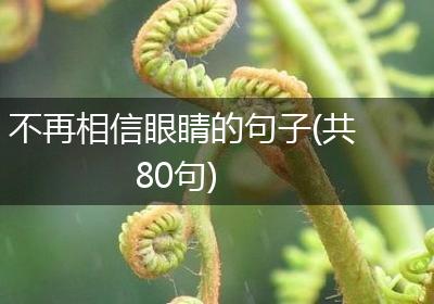 不再相信眼睛的句子(共80句)