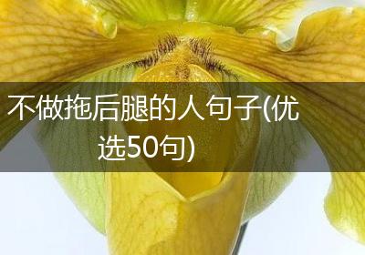 不做拖后腿的人句子(优选50句)