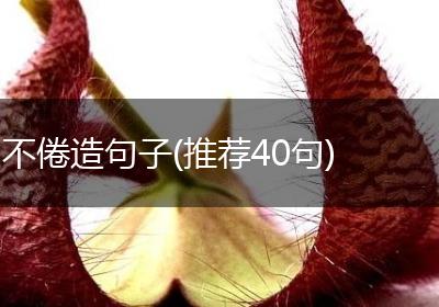 不倦造句子(推荐40句)