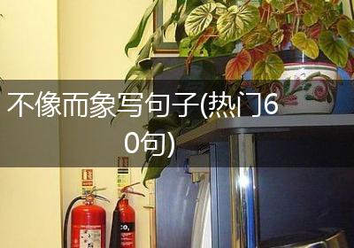 不像而象写句子(热门60句)