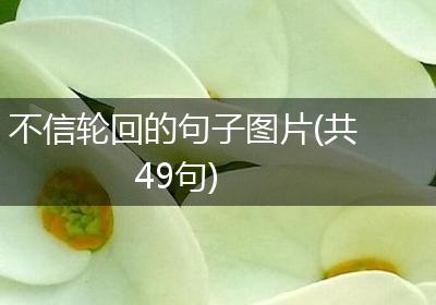不信轮回的句子图片(共49句)