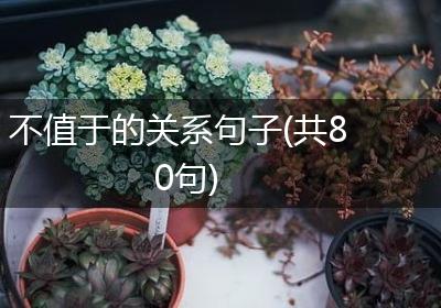不值于的关系句子(共80句)