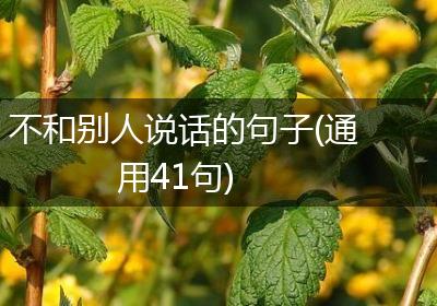 不和别人说话的句子(通用41句)
