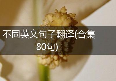 不同英文句子翻译(合集80句)