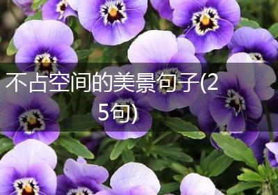 不占空间的美景句子(25句)