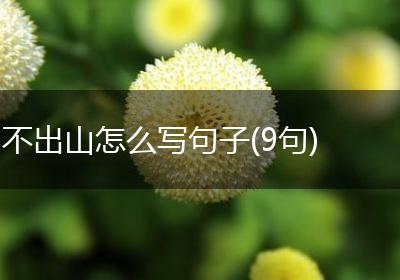 不出山怎么写句子(9句)