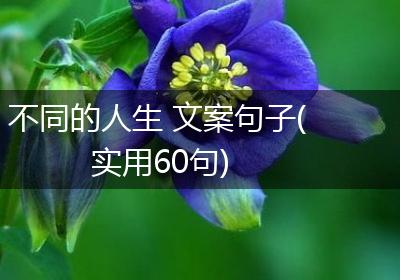 不同的人生 文案句子(实用60句)