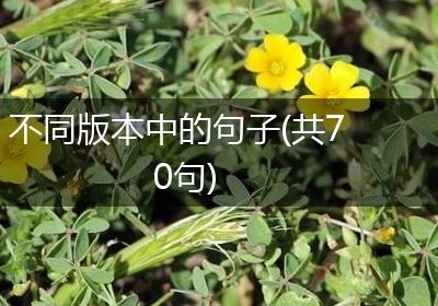 不同版本中的句子(共70句)