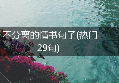 不分离的情书句子(热门29句)