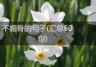 不媚骨的句子(汇总60句)