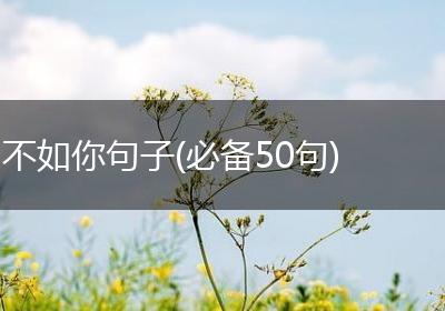 不如你句子(必备50句)