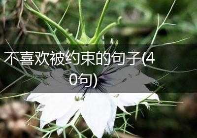 不喜欢被约束的句子(40句)