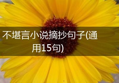 不堪言小说摘抄句子(通用15句)