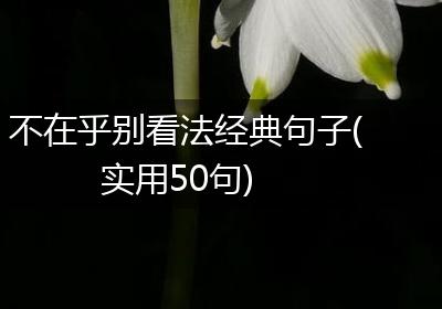 不在乎别看法经典句子(实用50句)