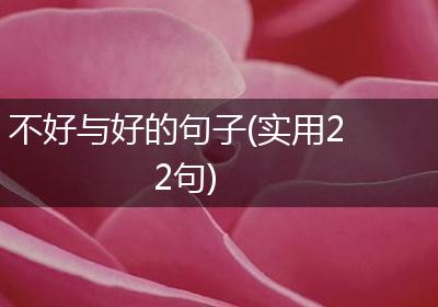 不好与好的句子(实用22句)